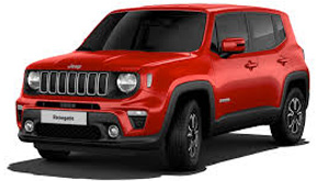 JEEP RENEGADE BUSIENESS