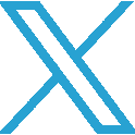 x icon